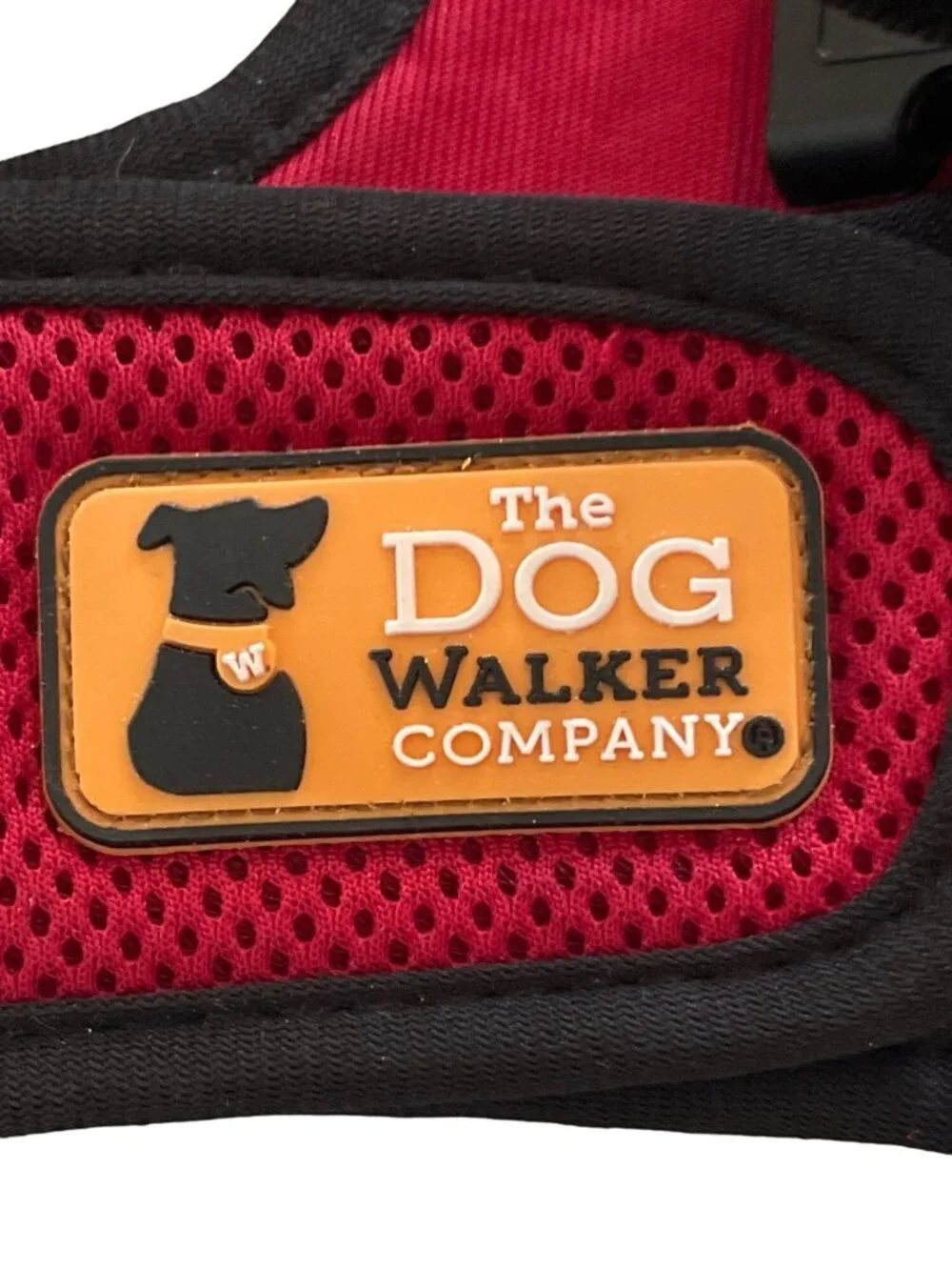 The Dog Walker Compnay dog walker